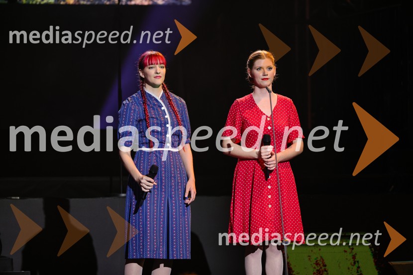 Državna proslava ob dnevu upora proti okupatorju