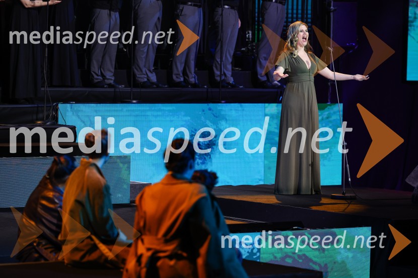 Državna proslava ob dnevu upora proti okupatorju