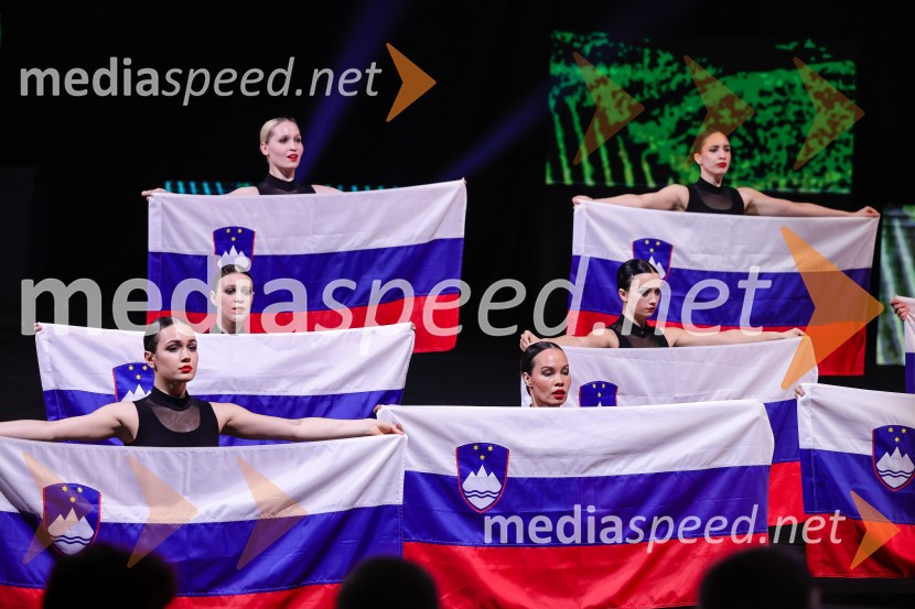 Državna proslava ob dnevu upora proti okupatorju