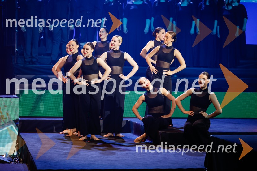 Državna proslava ob dnevu upora proti okupatorju