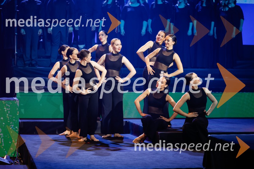 Državna proslava ob dnevu upora proti okupatorju