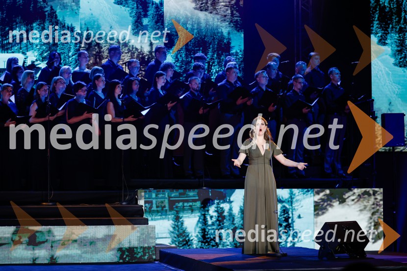 Državna proslava ob dnevu upora proti okupatorju