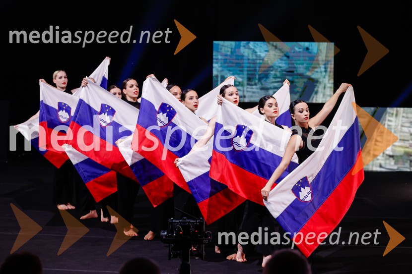 Državna proslava ob dnevu upora proti okupatorju