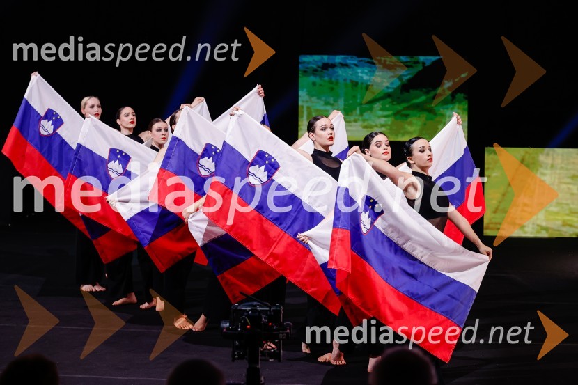 Državna proslava ob dnevu upora proti okupatorju