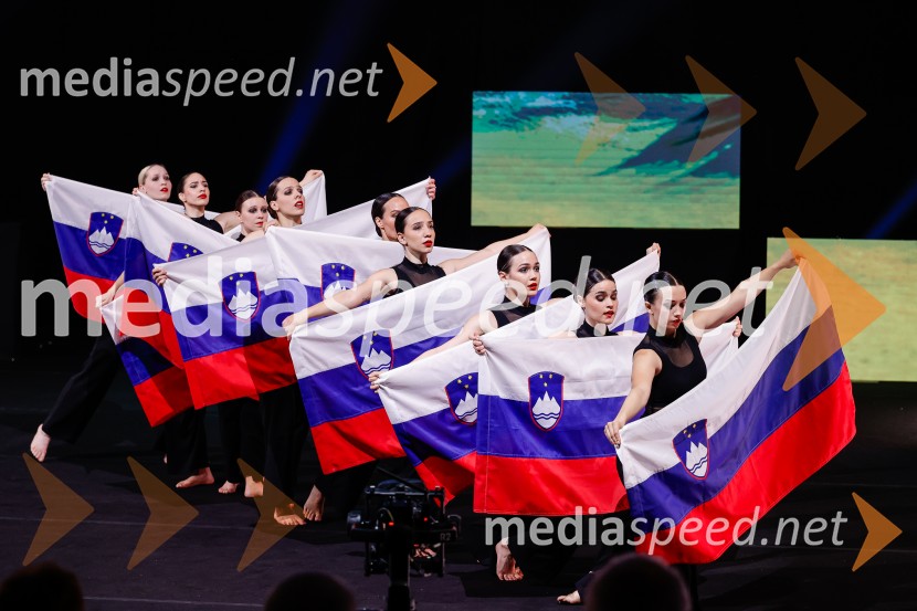 Državna proslava ob dnevu upora proti okupatorju