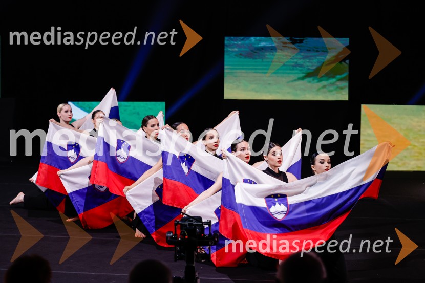 Državna proslava ob dnevu upora proti okupatorju