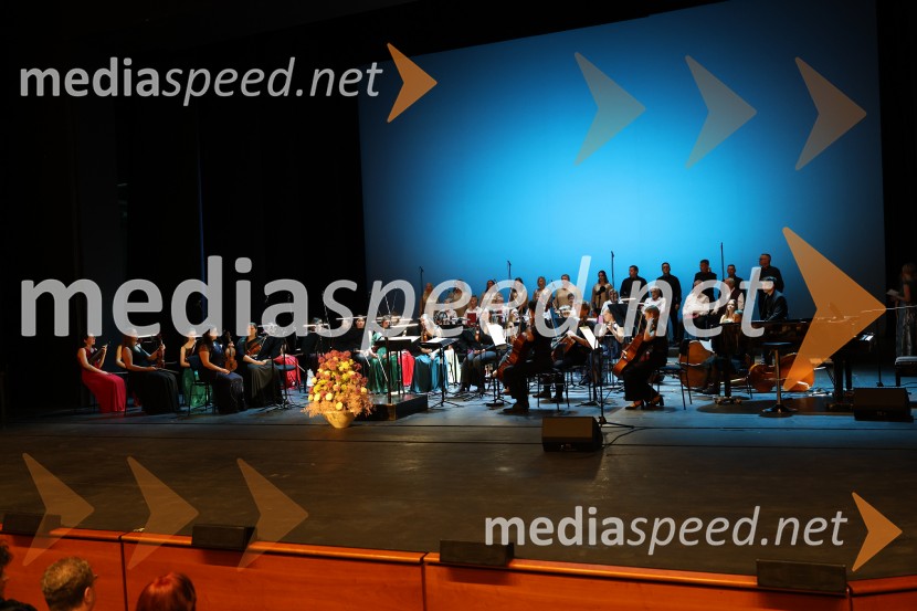 Dobrodelni koncert Doma pod Gorco