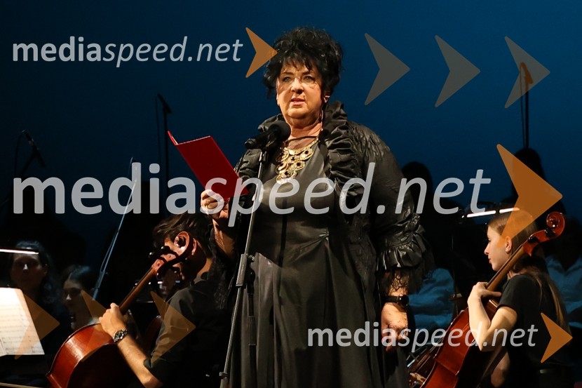 Dobrodelni koncert Doma pod Gorco