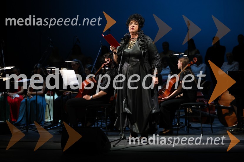 Dobrodelni koncert Doma pod Gorco