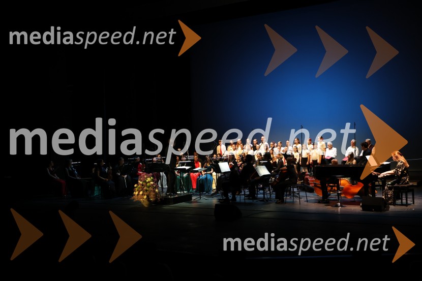 Dobrodelni koncert Doma pod Gorco