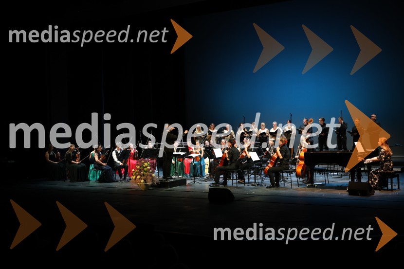 Dobrodelni koncert Doma pod Gorco