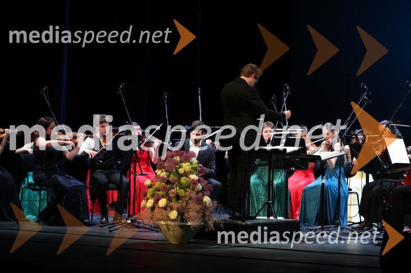 Dobrodelni koncert Doma pod Gorco