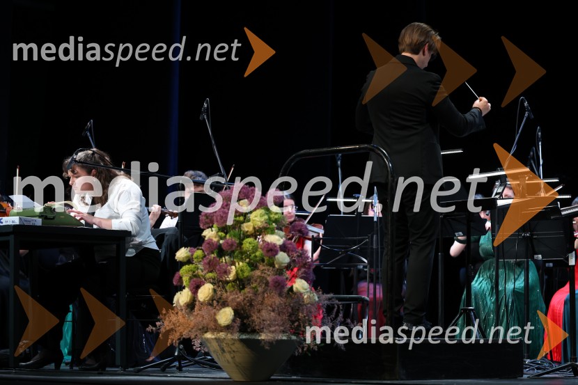 Dobrodelni koncert Doma pod Gorco