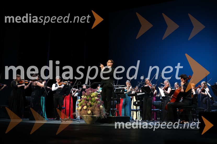 Dobrodelni koncert Doma pod Gorco