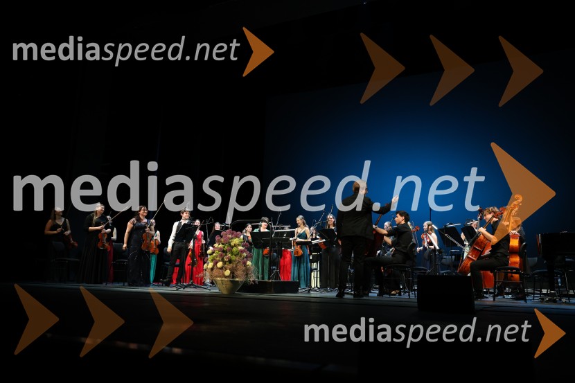 Dobrodelni koncert Doma pod Gorco