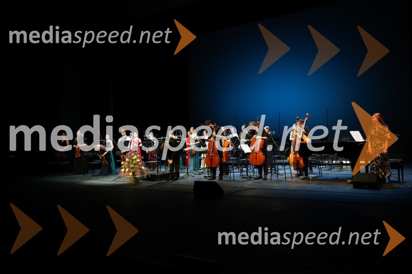 Dobrodelni koncert Doma pod Gorco