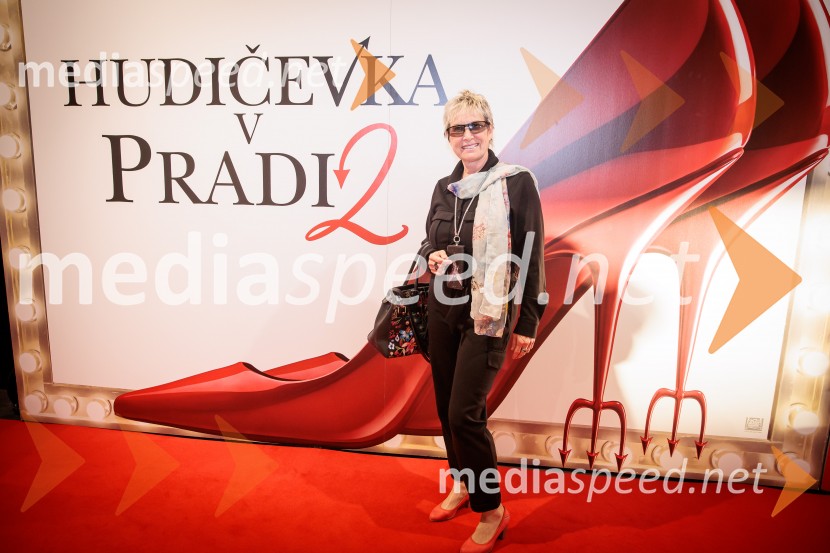 Ladies night, Hudičevka v Pradi 2, Cineplexx