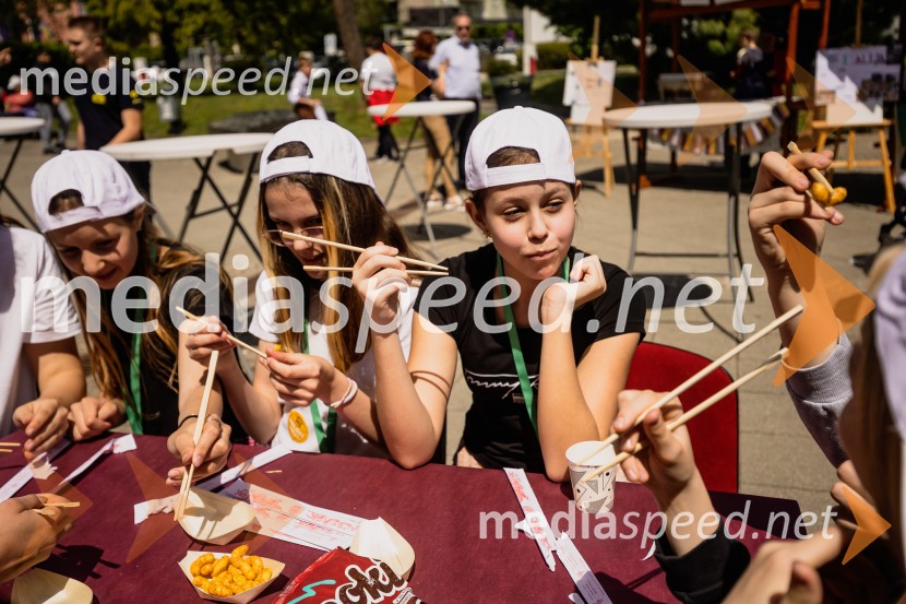Mednarodna kuhinja 2026