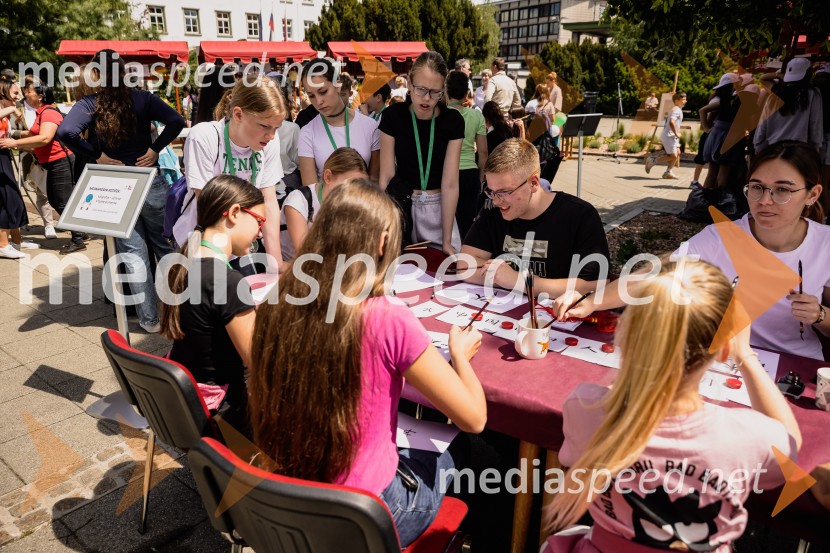 Mednarodna kuhinja 2026