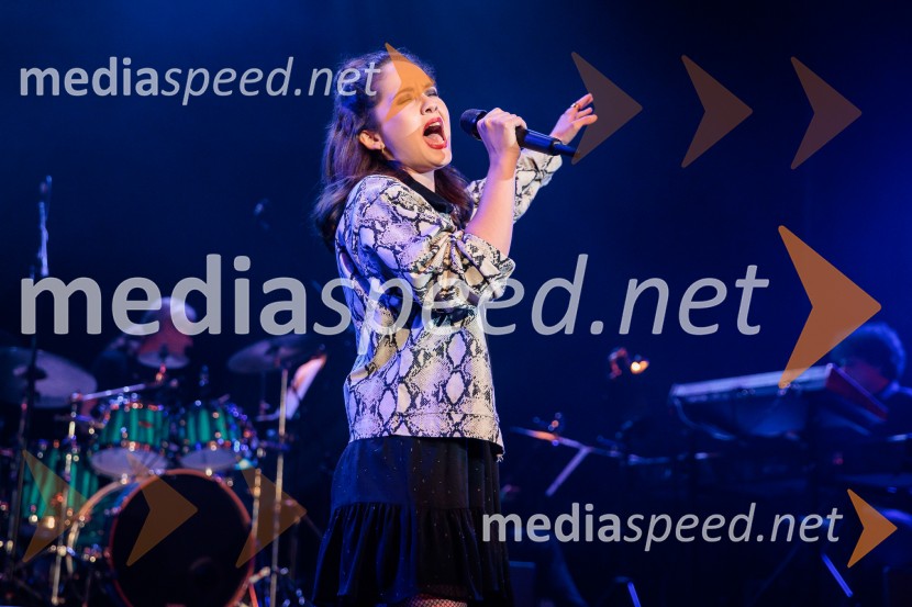 Koncert MGL&AGRFT: Vihar