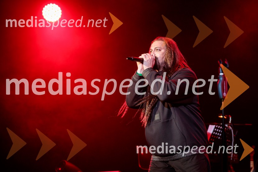 Koncert MGL&AGRFT: Vihar