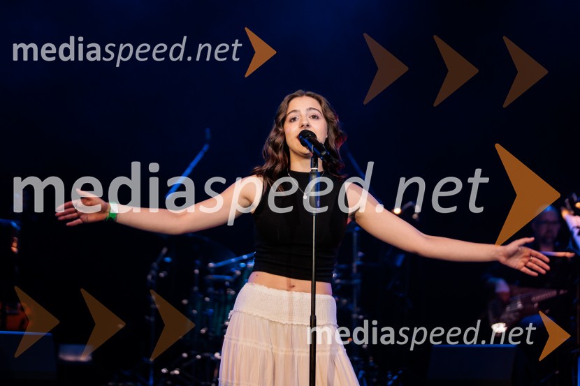Koncert MGL&AGRFT: Vihar