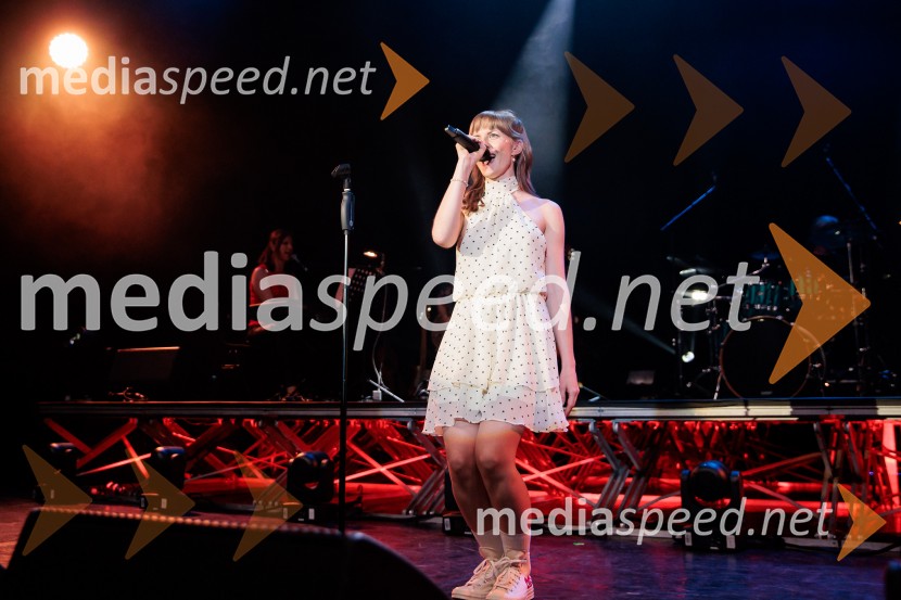 Koncert MGL&AGRFT: Vihar