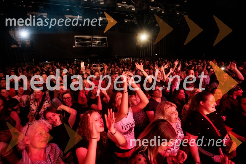 Koncert MGL&AGRFT: Vihar