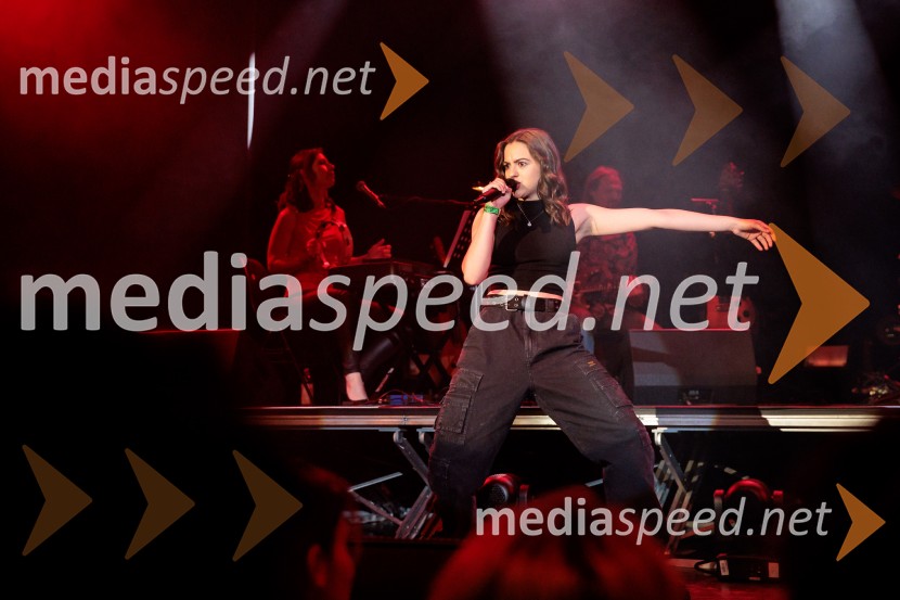 Koncert MGL&AGRFT: Vihar