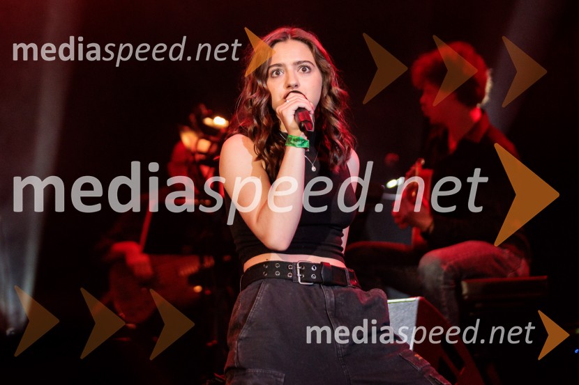 Koncert MGL&AGRFT: Vihar