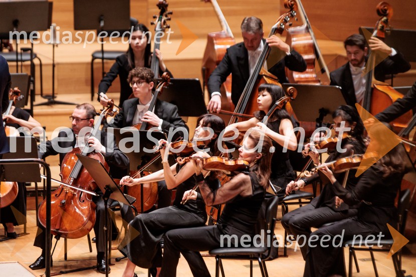 Simfonični orkester iz Basla, Cankarjev dom