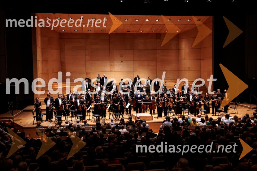 Simfonični orkester iz Basla, Cankarjev dom