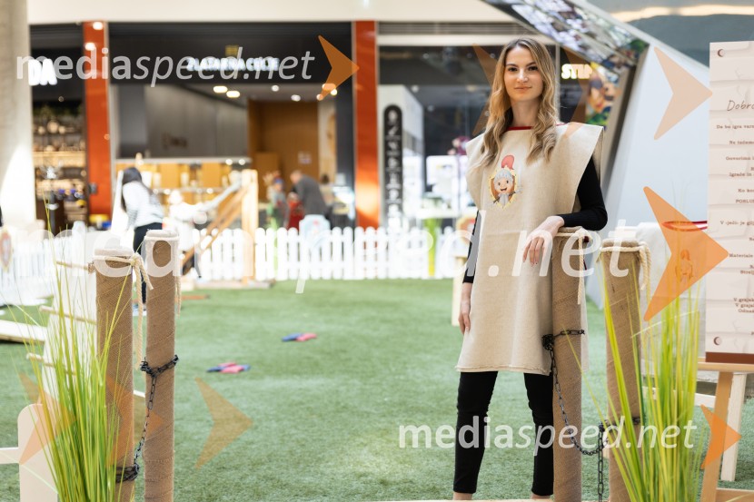 Grajsko doživetje, Citycenter Celje