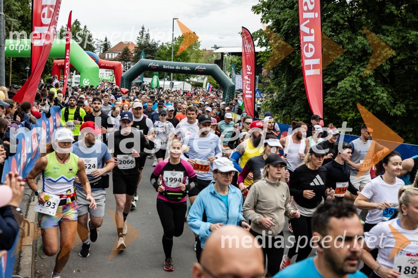 44. Maraton treh src