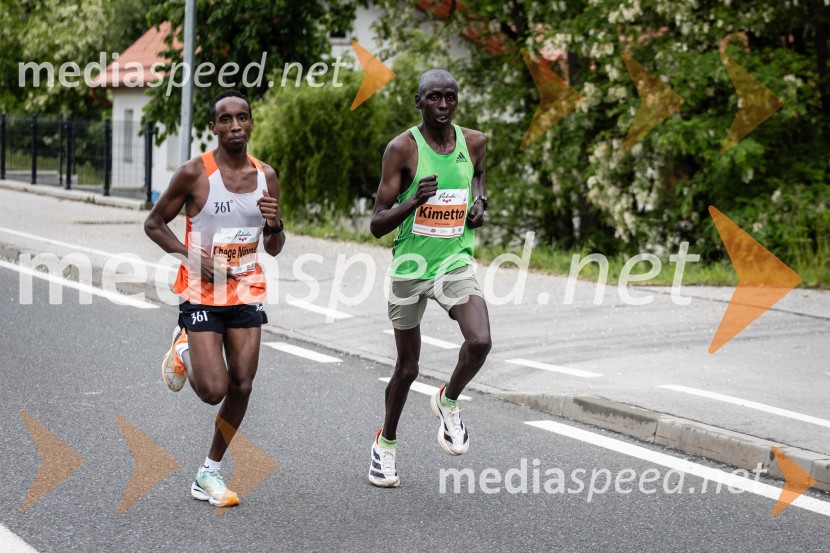 44. Maraton treh src