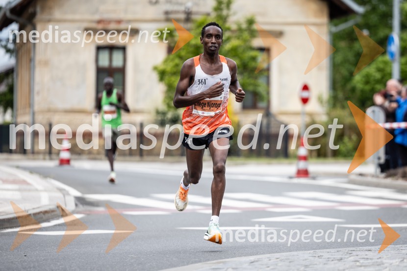 44. Maraton treh src