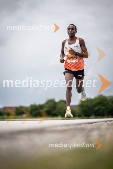 44. Maraton treh src