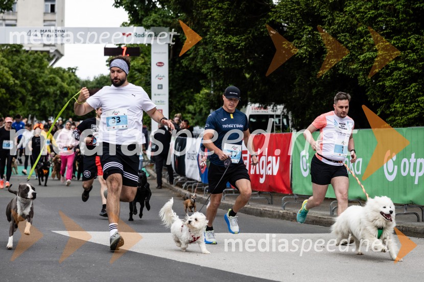 44. Maraton treh src