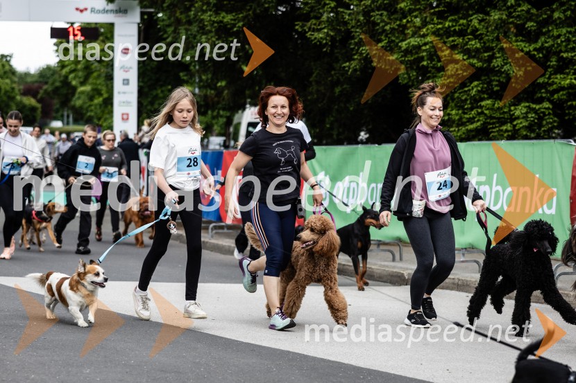 44. Maraton treh src