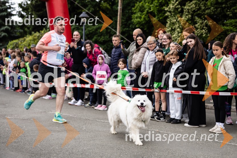 44. Maraton treh src