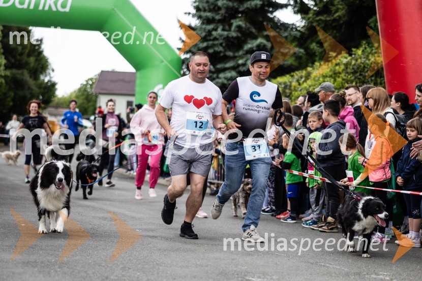 44. Maraton treh src
