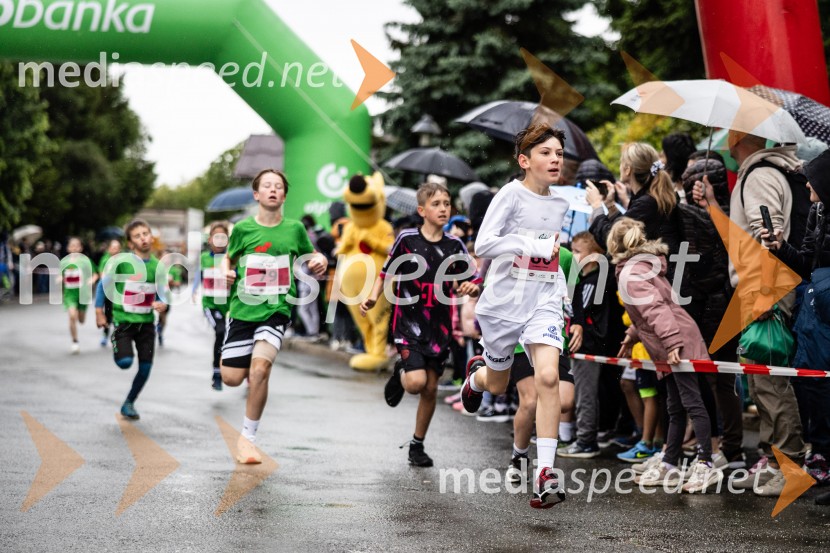 44. Maraton treh src