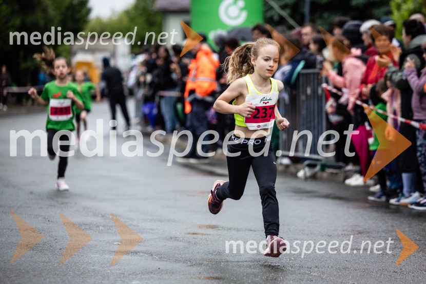 44. Maraton treh src
