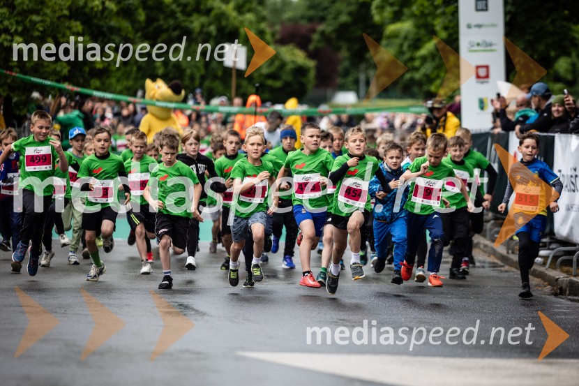 44. Maraton treh src