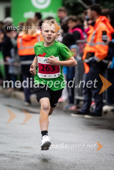 44. Maraton treh src