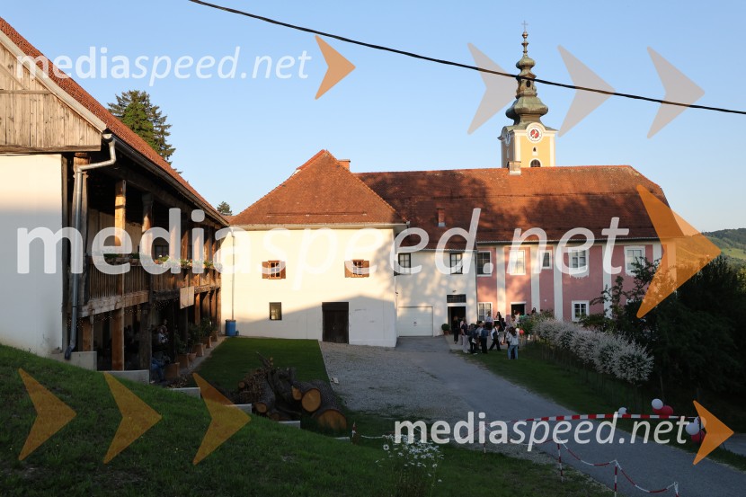 Jagode in penine