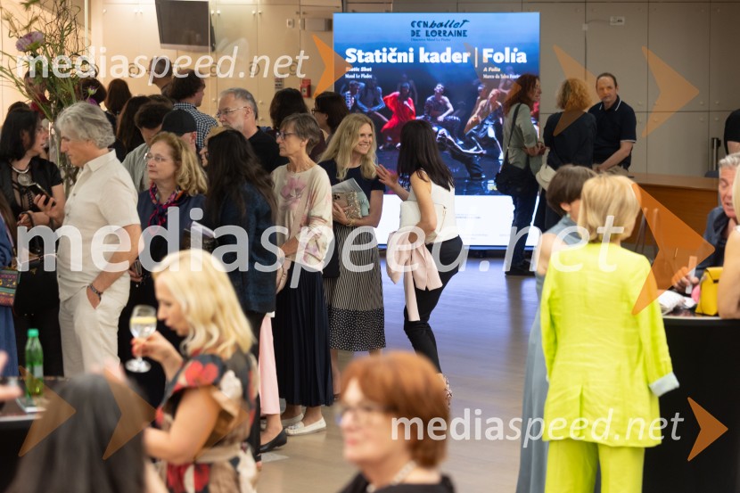 CCN Ballet de Lorraine: Statični kader / Folia, Cankarjev dom