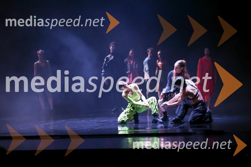 CCN Ballet de Lorraine: Statični kader / Folia, Cankarjev dom