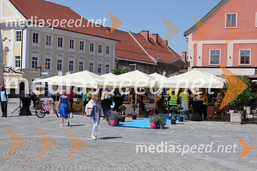 40 frizerjev na Glavnem trgu v Mariboru striglo za humanitrane namene