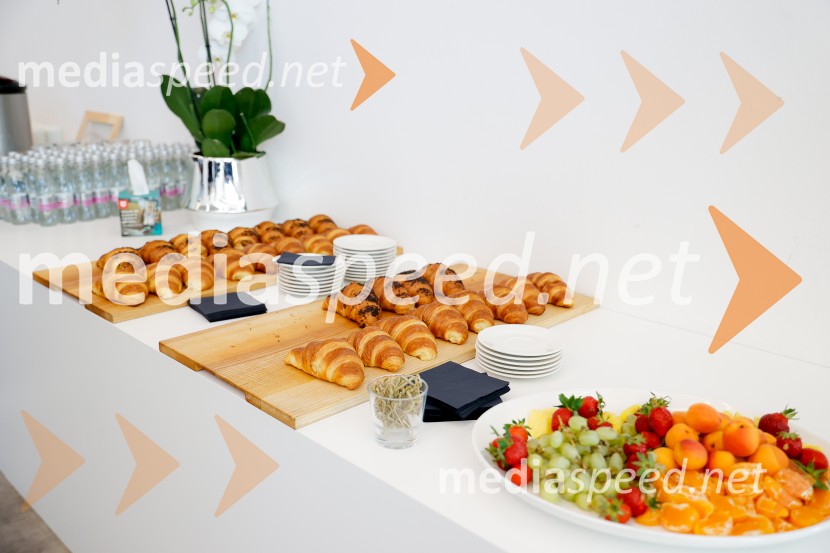 Konferenca Tea with reason: Small Modular Reactors